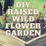 DIY Raised Wild Flower Garden