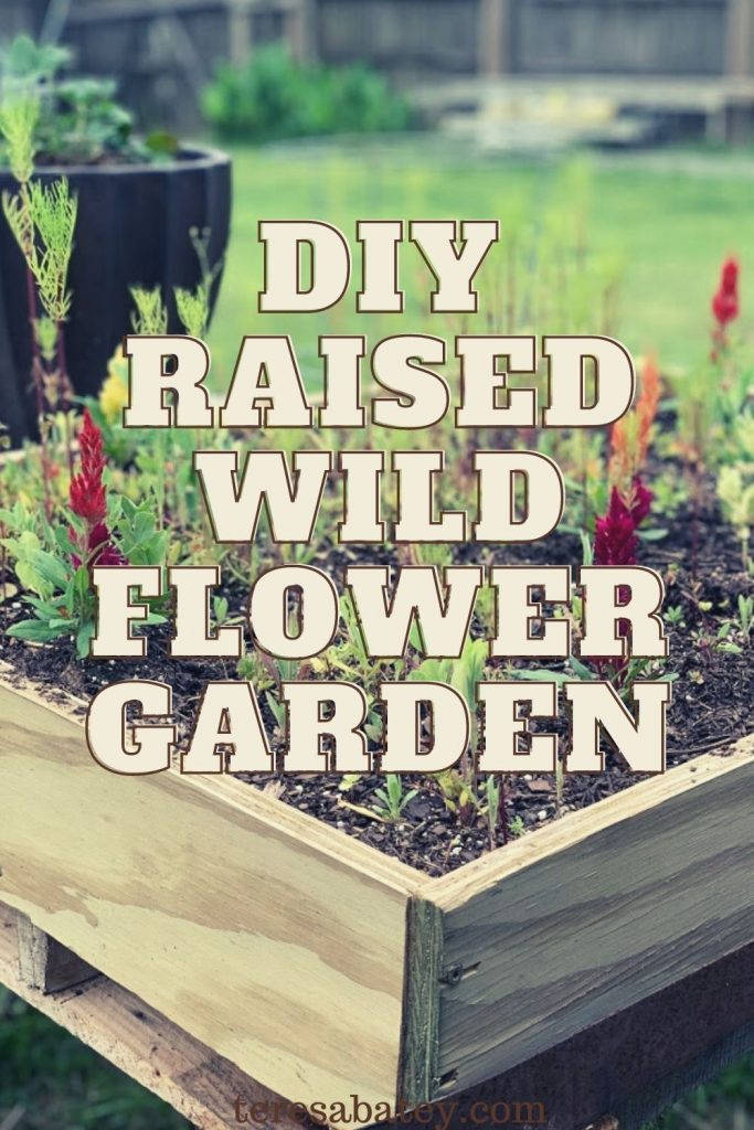 DIY Raised Wild Flower Garden