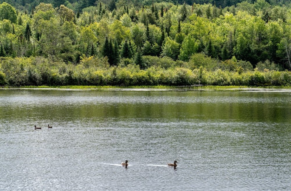Best Parks In North East Texas