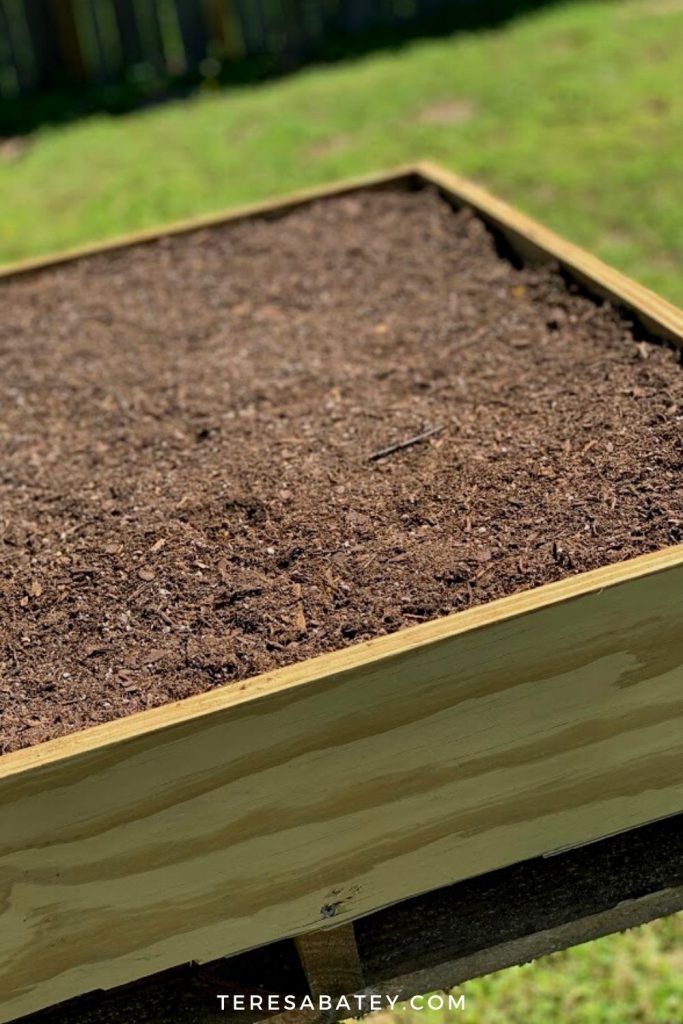 DIY Raised Wild Flower Garden
