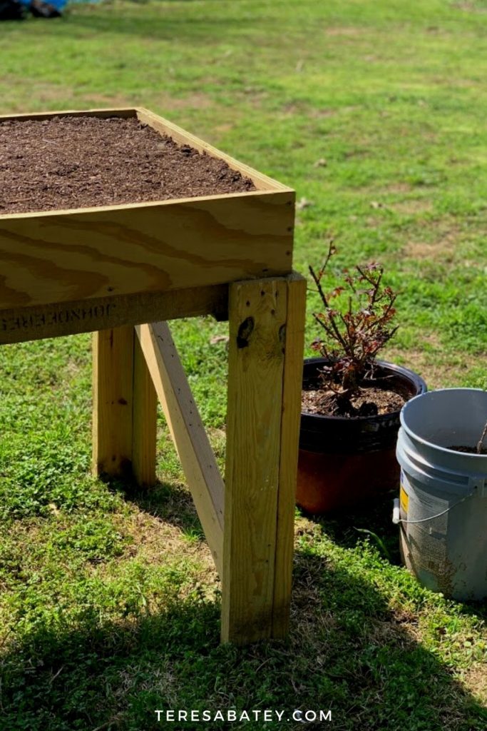 DIY Raised Wild Flower Garden