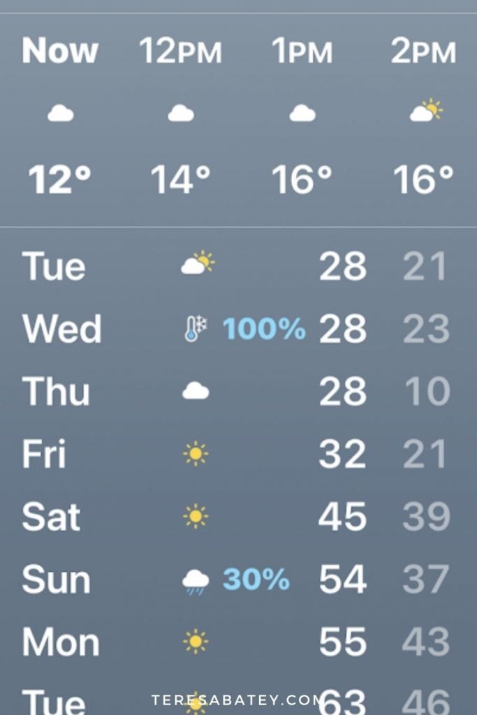 Texas Snow Storm 2021