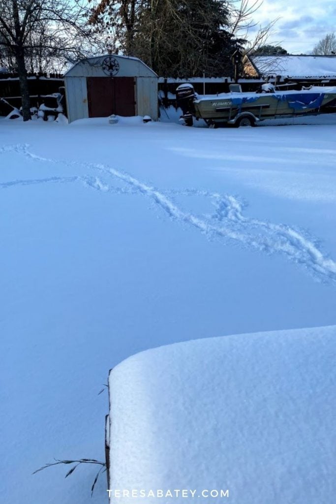 Texas Snow Storm 2021