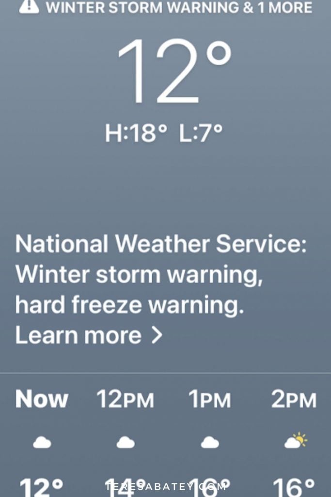 Texas Snow Storm 2021