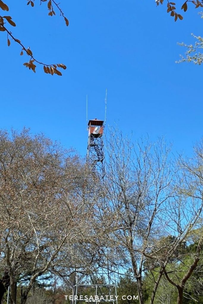 The Texas Witch - Jacksonville Texas