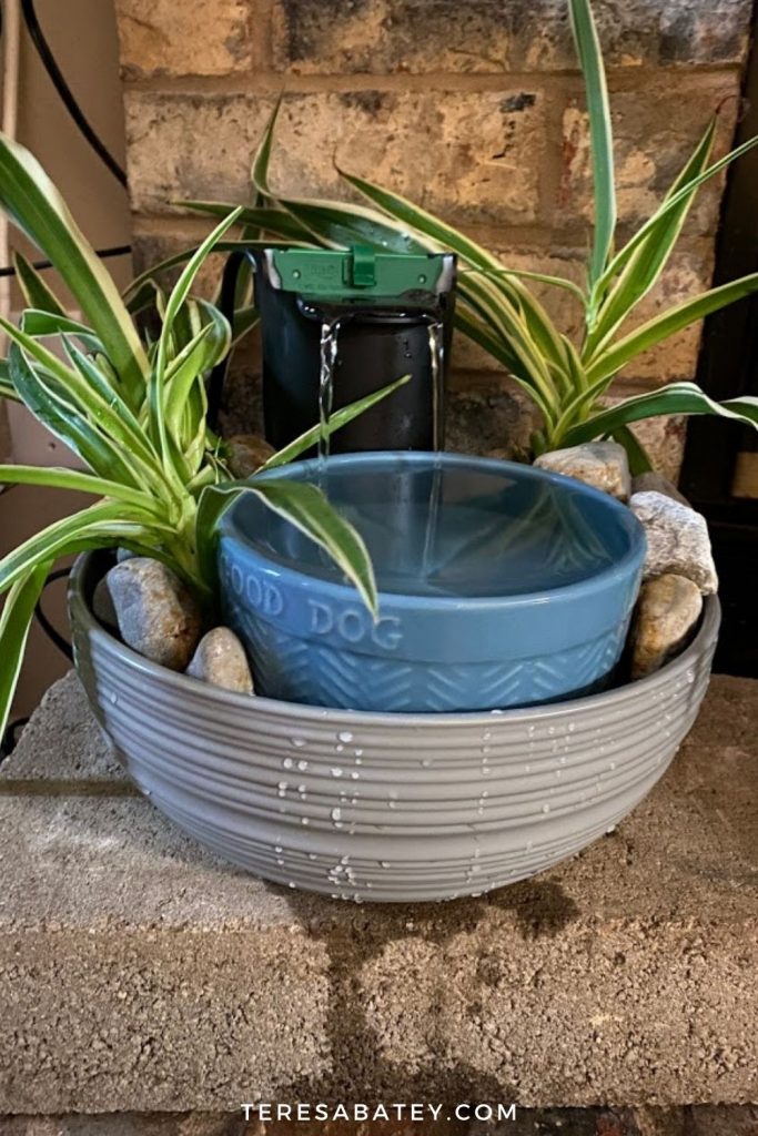 Amazing DIY Pet Fountain