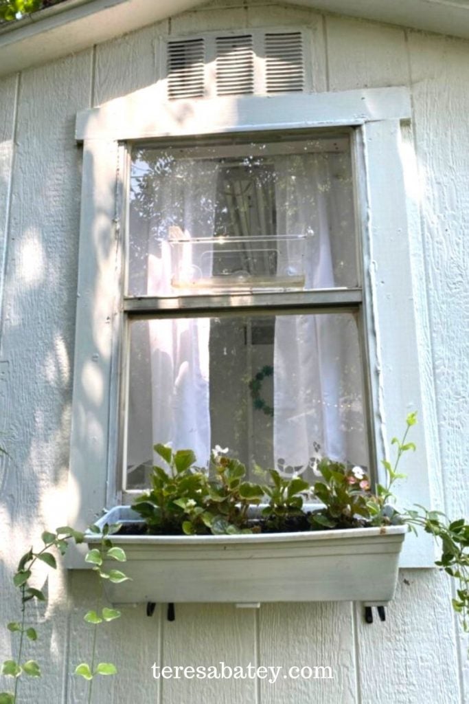 DIY She Shed