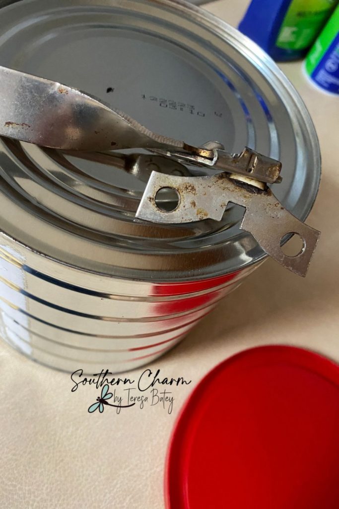 DIY Coffee Can Bird Feeder