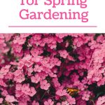 12 DIY Tips for Spring Gardening
