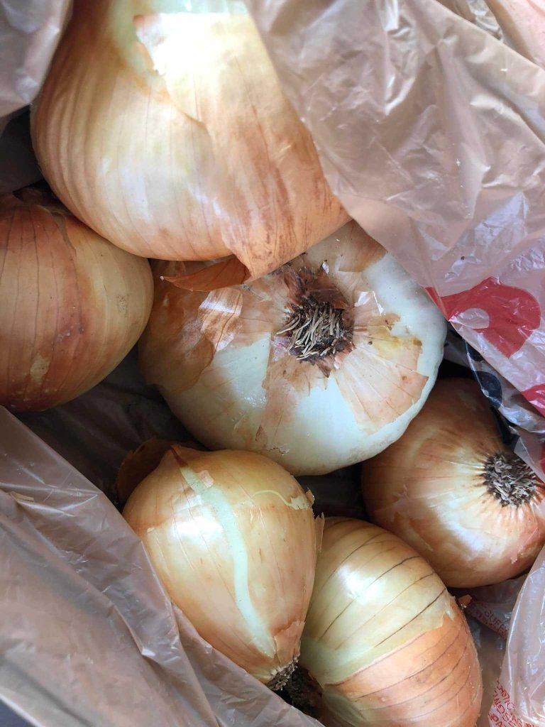 Noonday Farmers Market