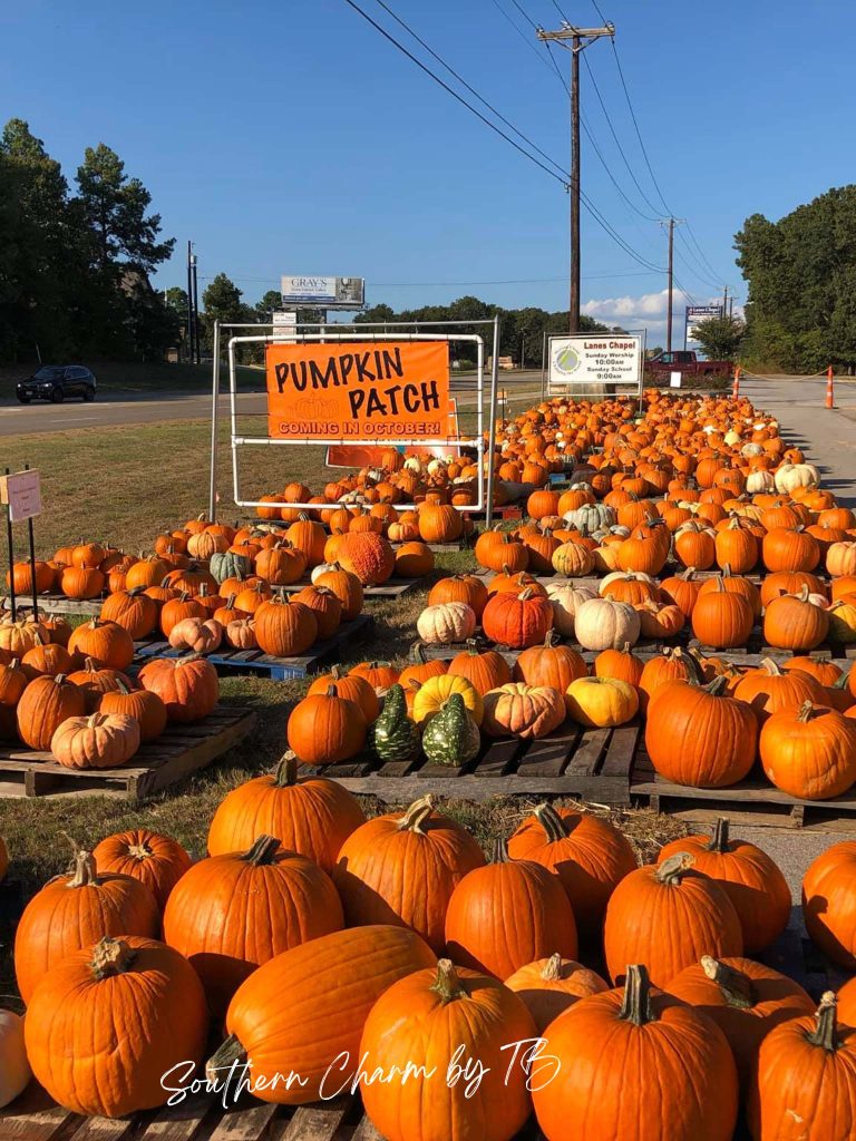 Pumpkin-Patches-in-East-Texas-1 Pumpkin Patches in East Texas