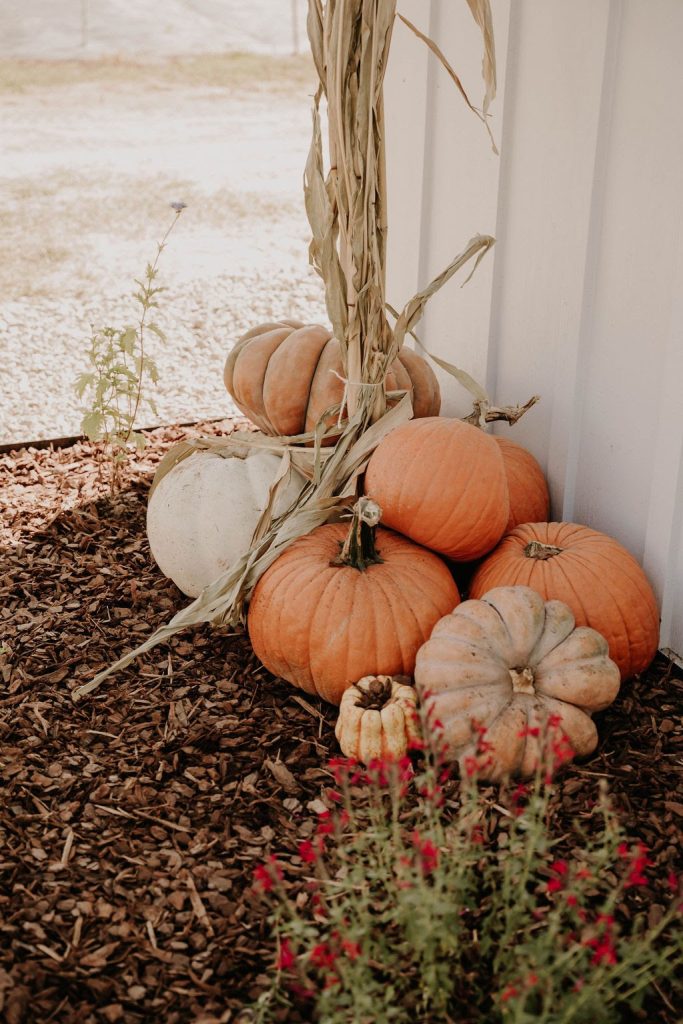 fall festivals in east texas