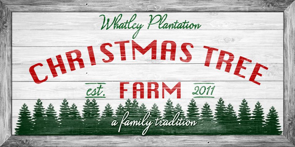 Christmas Tree Farms in East Texas - Whatley Plantation
